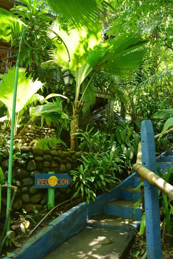 Hotel Luna Llena Nicoya Exterior photo