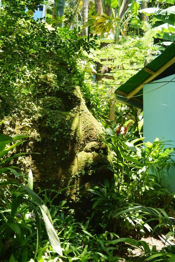Hotel Luna Llena Nicoya Exterior photo